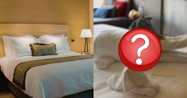 Khách Tây chi 100 nghìn thử thách nhân viên khách sạn, sững sờ nhận về nguyên con cá sấu khổng lồ