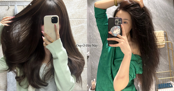 BTV không chọn dầu gội bừa, đây là 4 loại tôi dùng suốt nhiều năm