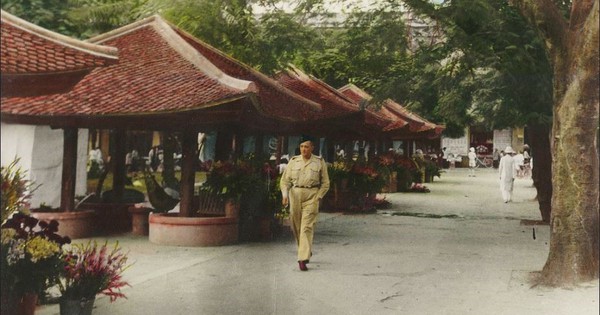 Hải Phòng khôi phục cụm quán hoa lịch sử 80 năm trước Nhà hát thành phố