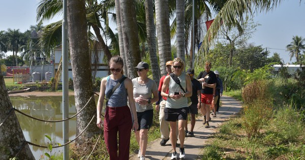 Khách Tây 'ăn Tết' sớm ở Cồn Sơn