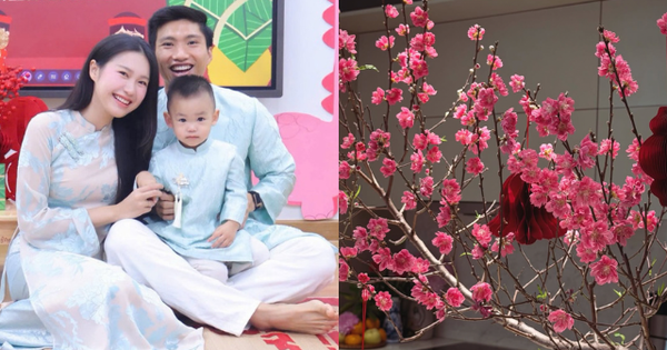 Biệt thự mấy chục tỷ của Đoàn Văn Hậu tràn ngập sắc hoa đón Tết, tiểu thư Doãn Hải My khéo chăm quá đi!