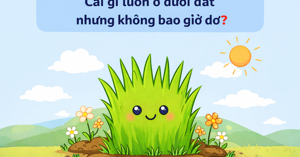 Cái gì luôn ở dưới đất nhưng không bao giờ bẩn?
