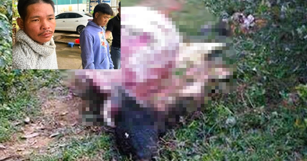 Thiếu tiền tiêu Tết, 2 thanh niên trộm trâu xẻ thịt mang bán