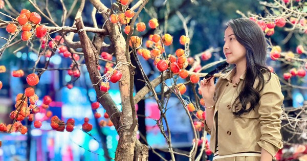 Giới trẻ Thủ đô check-in quán cà phê như ‘phim trường Tết’