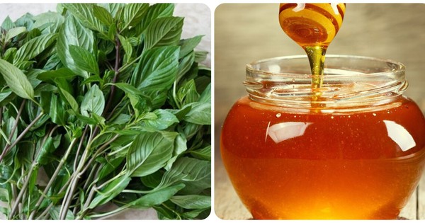 Mật ong và húng quế kết hợp với nhau có tác dụng gì?