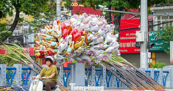 Mía lộc thắt nơ đỏ đổ bộ đường phố Hà Nội chờ Giao thừa