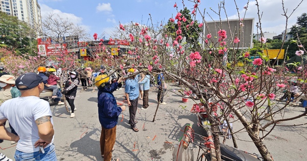 Gallery - Chợ hoa 29 Tết: Tiểu thương hạ giá trước giờ G, không còn cảnh "đập chậu đốt hoa" như mọi năm