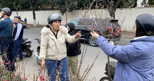 Không khí lạnh tràn về mùng 2 Tết, trời chuyển rét