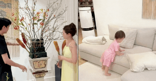Tuấn Dương cắm hoa 20 triệu, bị Suli "bẻ" không thương tiếc