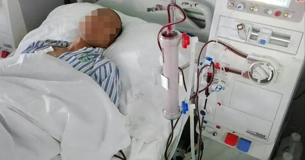 Người đàn ông suýt phải chạy thận, kim loại nặng trong cơ thể cao gấp 6 lần vì ngày nào cũng ăn 1 loại cá