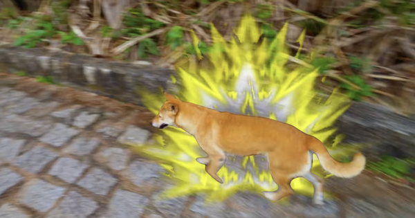 Bị bóc phốt thái độ chảnh chọe nhưng "hướng dẫn viên" ở Mũi Điện lại khiến ai cũng tranh nhau thuê