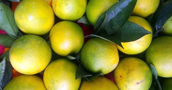 Đặt 2 loại quả này trong phòng ngủ và bạn sẽ nhận thấy điều kỳ diệu xảy ra với cơ thể