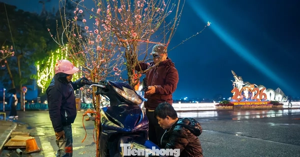 Hà Nội mưa rét thấu xương, tiểu thương trắng đêm trông đào quất