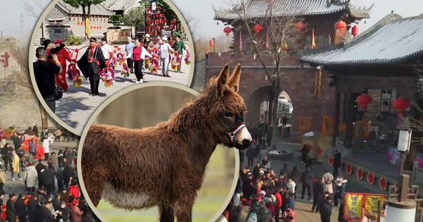 Ngôi làng cổ 600 năm tuổi tại Trung Quốc đổi đời nhờ đóng phim: Cả người và vật nuôi đều thành diễn viên