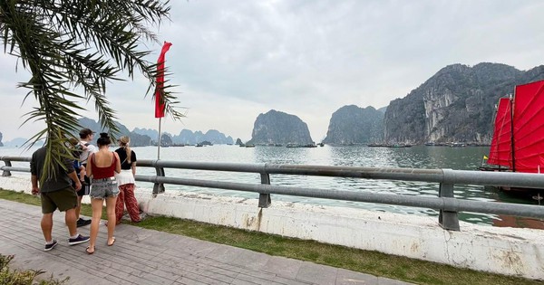 Cảnh tượng ngay lúc này trên vịnh Hạ Long: Sau gần 30 năm mới thấy lại, nhiều người không tin vào mắt mình