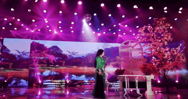 Ngọc Ánh: 'Nữ hoàng cát-xê' với những giai thoại vàng khó tin trong showbiz Việt