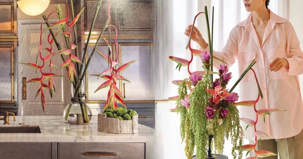 Bóc trần sự thật về loài hoa 