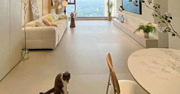 Bất chấp mọi lời khuyên, tôi vẫn lát gạch 600×1200mm cho phòng khách và sau khi ở 6 tháng, đây là điều tôi muốn nói thật