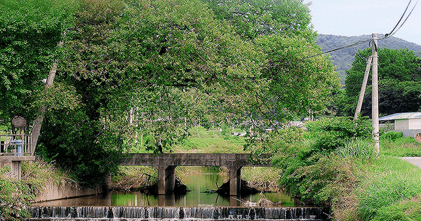 Phim Hàn cực hay nhưng bị coi là nỗi xấu hổ của nhà đài: Cặp chính đẹp như thơ cũng hết cứu