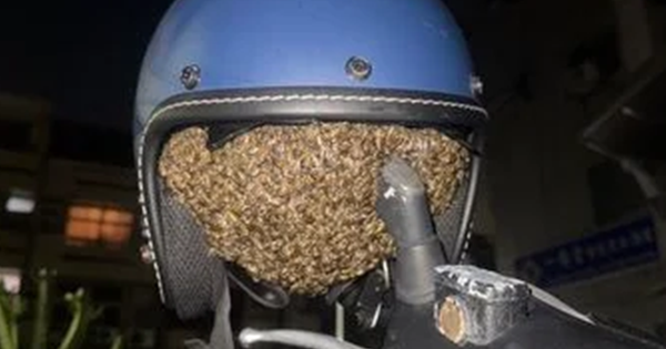 Treo mũ bảo hiểm qua đêm, người phụ nữ sốc nặng khi thấy cảnh tượng 