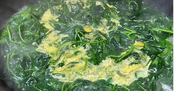 Loại rau mọc dại khắp bờ bụi, được ví là “vũ khí” chống ung thư, tiểu đường: Tiếc là ít người biết để ăn