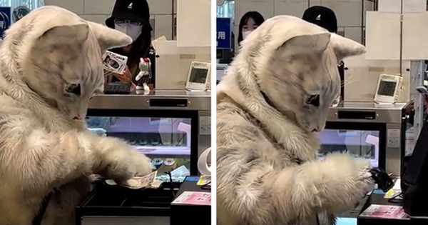 13 bức ảnh chứng minh Nhật Bản không thuộc hành tinh này