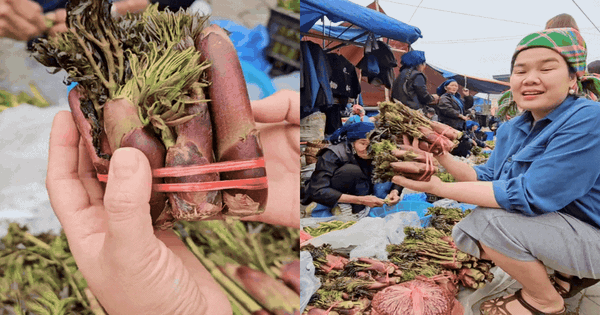 Thứ rau đặc sản lạ lùng ở chợ phiên Y Tý: Ngoại hình 