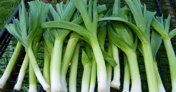 Hội mê ăn rau chú ý: 5 món quen thuộc có thể khiến tình trạng trào ngược dạ dày nặng hơn