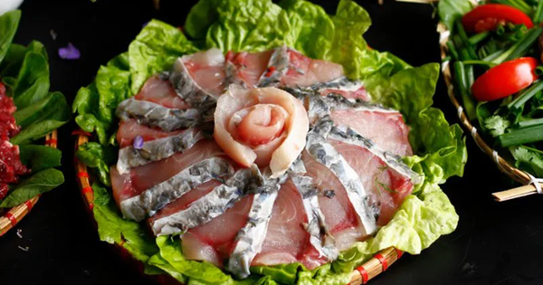 Loại cá bình dân 