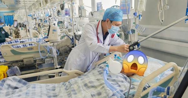 Người đàn ông ngộ độc suýt tử vong vì món rau nhiều người thích, có thể xuất hiện trên mâm cơm Việt 3 bữa một ngày