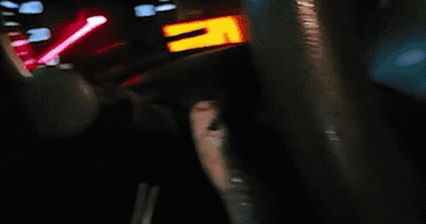 Chuyên gia bắt rắn kể lại giây phút sinh tử khi con rắn hổ mang bất ngờ cắn rách bao tải, bò khắp xe ô tô