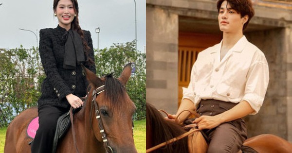 Có cho tiền cũng không dám 