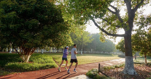 Tập thể dục là “liều thuốc” kéo dài tuổi thọ nhưng 4 kiểu người càng tập nhiều càng hại, tăng nguy cơ tử vong