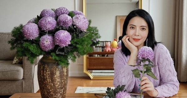Say đắm cúc mẫu đơn tím nhưng sợ cắm lên bị già? Đừng vội mua nếu chưa biết bí mật về 