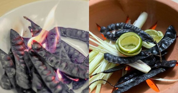 Đốt bồ kết đem lại những lợi ích gì?