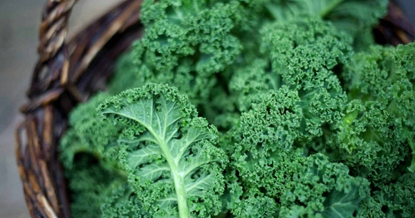 Mỹ công bố top 12 loại rau quả 