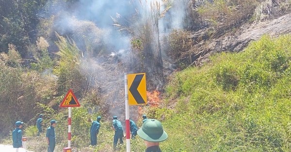 Cháy rừng trên đèo Bảo Lộc, hơn 100 người tham gia dập lửa