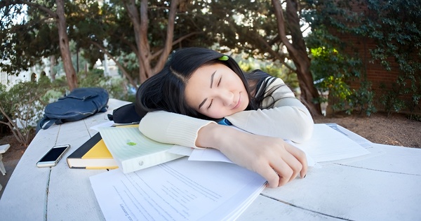 Tại sao có một số bộ phận sinh viên lên đại học lại sa sút?