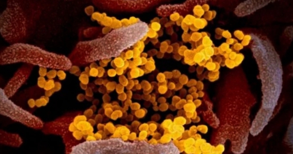 Biến thể COVID-19 'Ve sầu' né vaccine, lây nhanh tại Mỹ: Bộ Y tế cảnh báo gì?