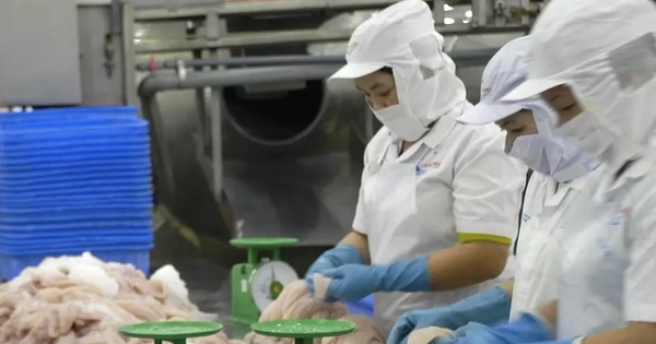 Nhà hàng sushi trong nhóm ‘khó tính’ nhất thế giới dùng cá tra Việt Nam