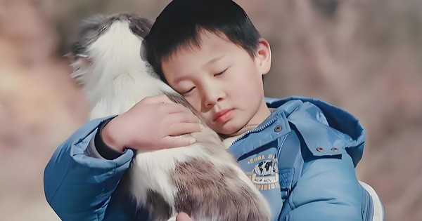 Nghiên cứu từ Đại học Cambridge: Trẻ thích chơi với 