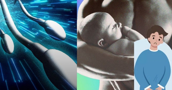 TikTok dậy sóng trào lưu “tối ưu tinh trùng”: Ám ảnh vô sinh khiến đàn ông trẻ lao vào đủ chiêu kỳ lạ