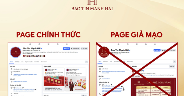Bảo Tín Mạnh Hải cảnh báo