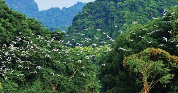 Từ 1/4, không chỉ Hang Múa mà 1 địa điểm nổi tiếng ở Ninh Bình đồng loạt tăng giá