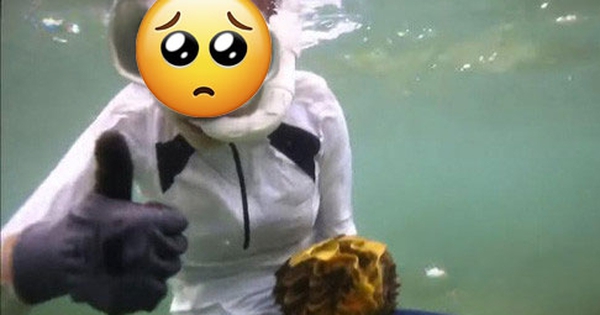 Khoảnh khắc lặn biển khiến 1 mỹ nhân suýt tù tội, "đi tong" sạch sự nghiệp!