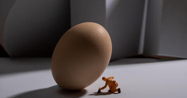 Nếu con người đẻ trứng thay vì mang thai, xã hội sẽ đảo lộn ra sao?