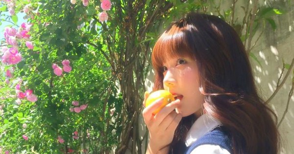 Nghiên cứu mới phát hiện BXH 4 