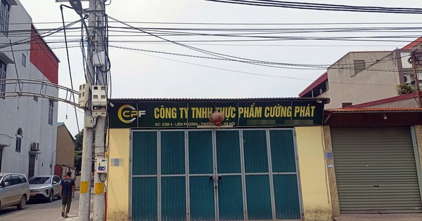 Bên trong công ty cung cấp thịt lợn nhiễm dịch tả lợn Châu Phi vào trường học