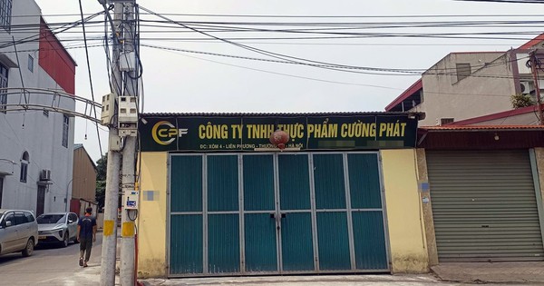 Chân dung công ty đưa thịt lợn bệnh vào nhiều trường học tại Hà Nội