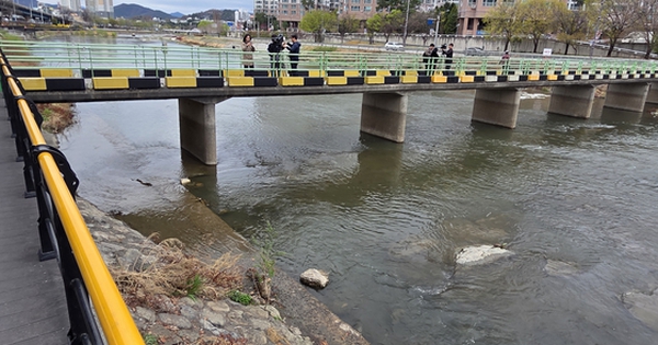 Hàn Quốc: Phát hiện vali chứa thi thể phụ nữ thả dưới chân cầu, nhân chứng kể lại thời khắc kinh hoàng